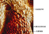 恒峰g22(国际)官网入口-每天有惊喜