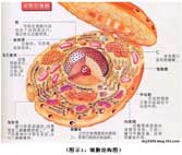 恒峰g22(国际)官网入口-每天有惊喜
